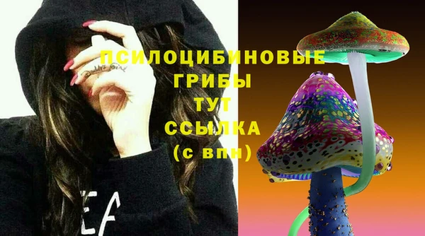 гашиш Осташков