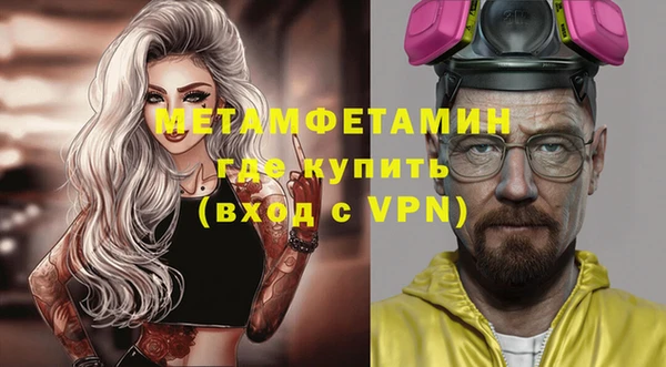 прущие грибы Новозыбков