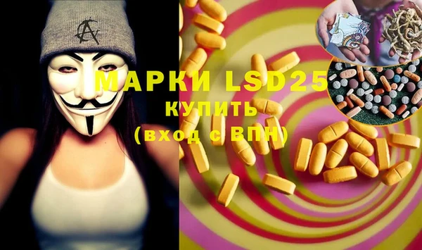 прущие грибы Новозыбков