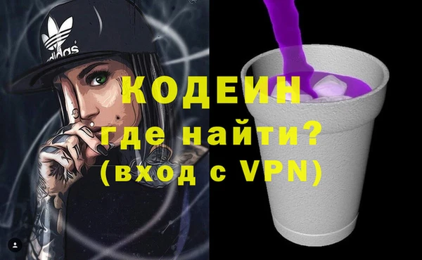 прущие грибы Новозыбков