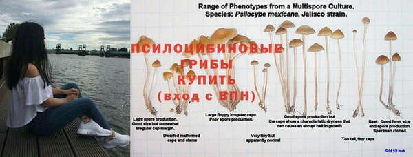 ALPHA-PVP Горнозаводск