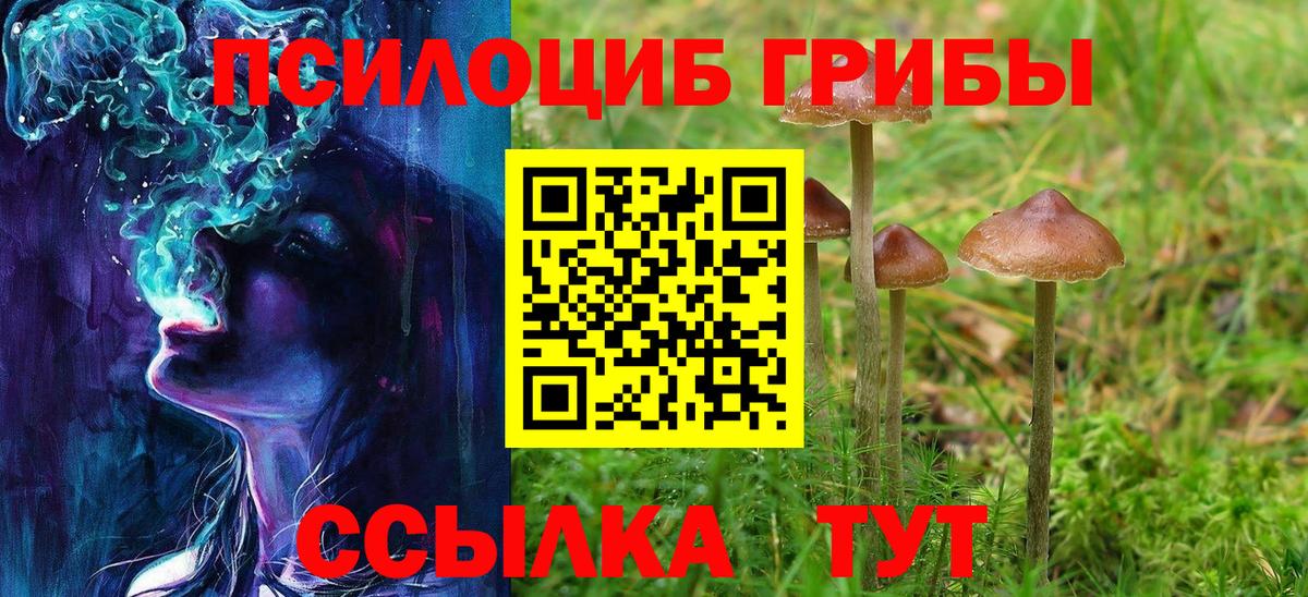 Псилоцибиновые грибы Psilocybe  хочу   Изобильный  Галлюциногенные грибы Cubensis 