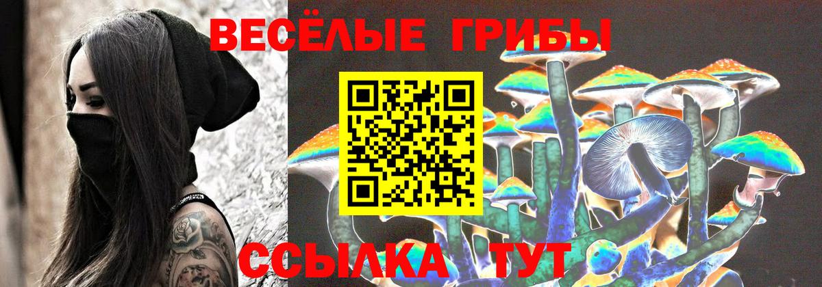 Псилоцибиновые грибы Magic Shrooms  даркнет сайт  Вход с VPN  Изобильный  Псилоцибиновые грибы мицелий 