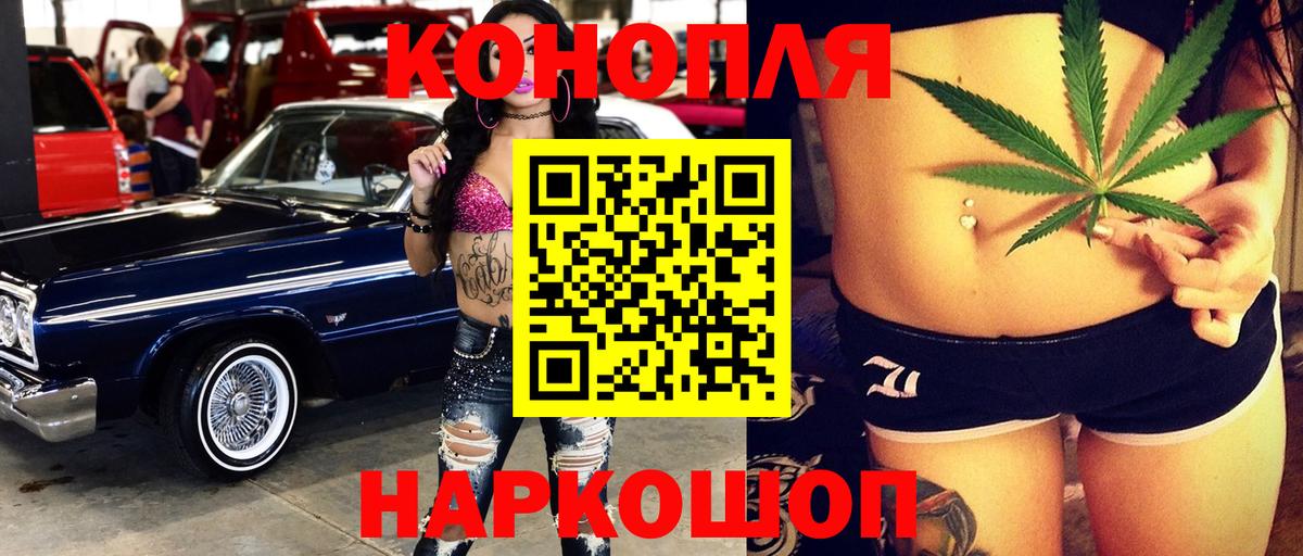 Каннабис семена  Бошки Шишки план  Изобильный  Каннабис THC 21% 